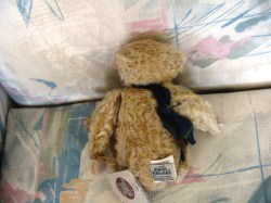 bear tramp face_04